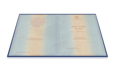 Диплом специалиста 2011-2013